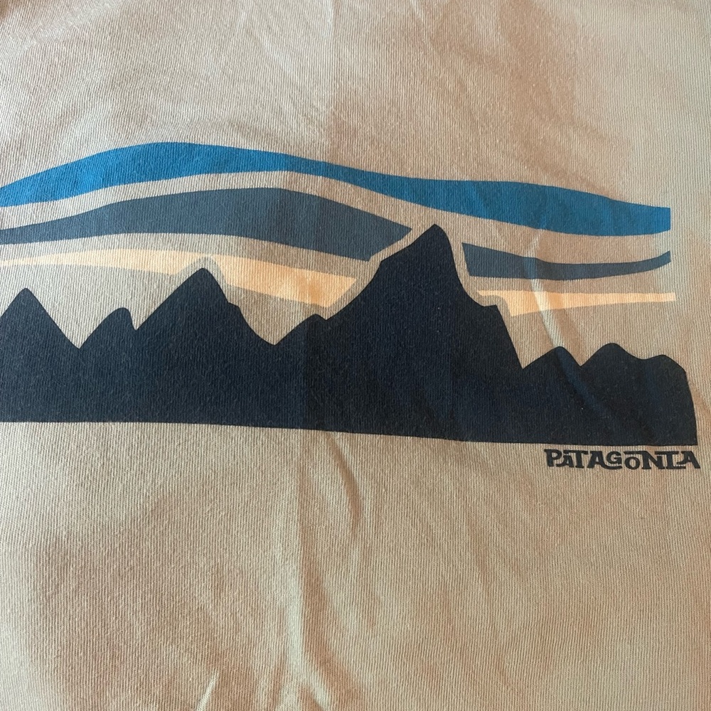 Patagonia Short Sleeve Tee - Blue and Tan